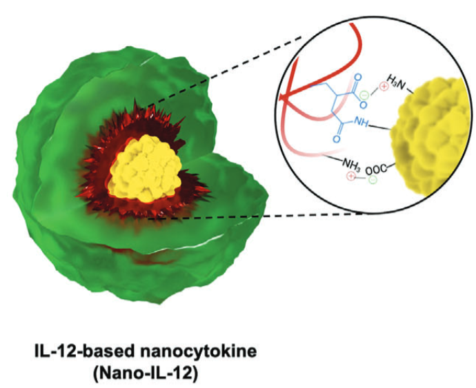 An IL-12-Based Nanocytokine Safely Potentiates Anticancer Immunity through Spatiotemporal Control of Inflammation to Eradicate Advanced Cold Tumors
