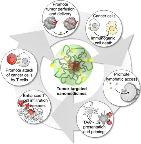 Tumor-targeted nanomedicine for immunotherapy
